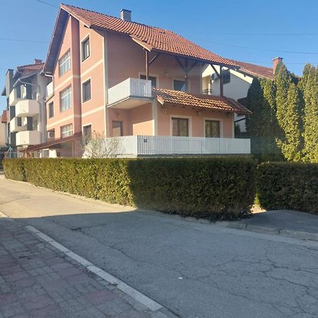 Apartman Andrijana 1 Soko Banja Luaran gambar